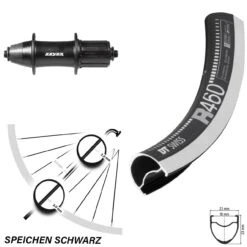 Dt-swiss Schwarzes 28 Zoll Hinteres Rad DT Swiss R 460 Mit Formula OV-32 Nabe