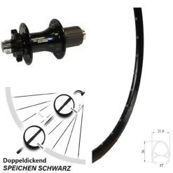 Exal GR 17 Scheibenbrems-Hinterrad 28 Zoll XLC Evo Für Steckachse