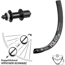 Dt-swiss 29 Zoll Laufrad Shimano FH-M4050 DT Swiss HX 491 Centerlock
