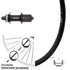 20 Zoll Hinterrad Ryde Andra 40 Disc Shimano UR600 11 Fach