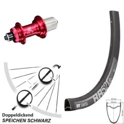 Dt-swiss KX-G Nabe Rot Schnellspanner 11-fach DT Swiss RR 521 DB Hinteres Rad 28 Zoll Centerlock